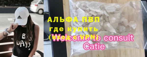 сатива Сатка