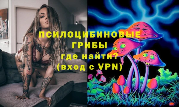 эйфоретик Абаза