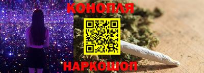 мет Кингисепп