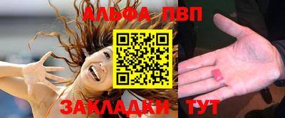 мет Кингисепп