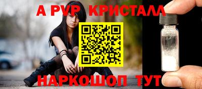 мет Кингисепп