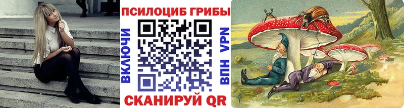 закладки  Кинешма  Псилоцибиновые грибы MAGIC MUSHROOMS 