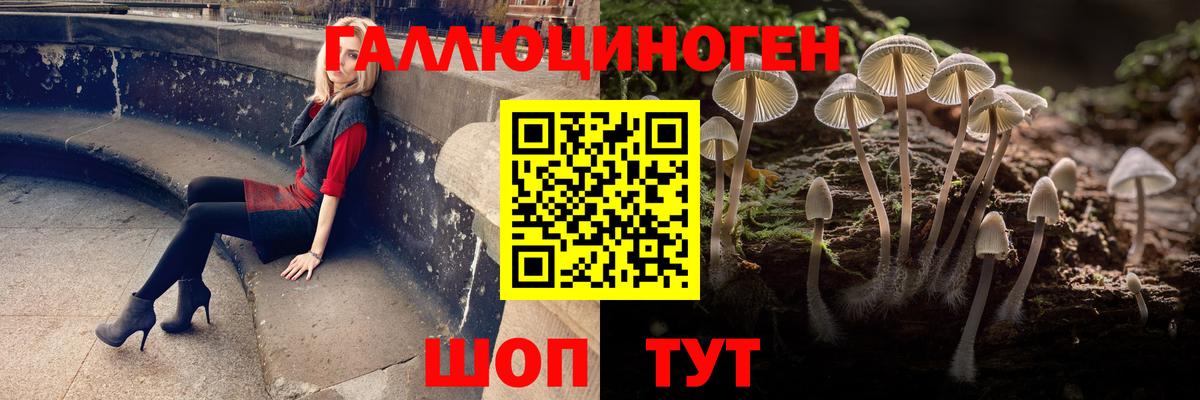 Кинешма  Галлюциногенные грибы Magic Shrooms  Вход с VPN  Псилоцибиновые грибы Cubensis 