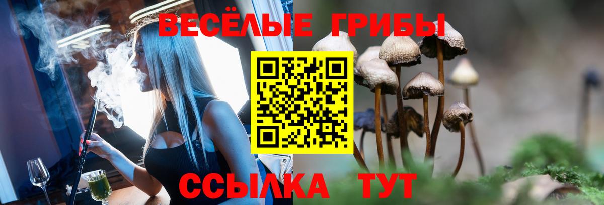 Псилоцибиновые грибы мухоморы  Кинешма  Псилоцибиновые грибы прущие грибы 